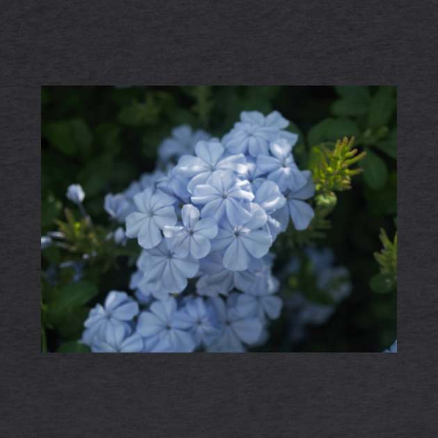 Scenic Flowers Blue by BenjiRetroWave